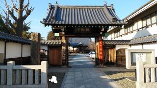 徳川家康開基の由緒あるお寺