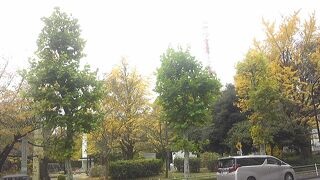 都心の巨大公園