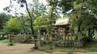 見どころの一つ