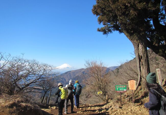 頑張って登ったところでパッと富士山が見える感動的な場所