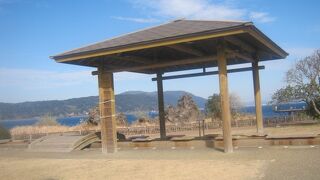 桜島小みかん、甘くておいしかったです！