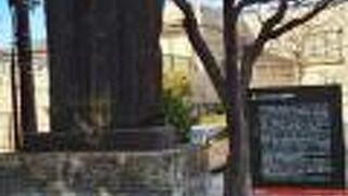 三角州のような場所