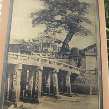 在りし日の祗園橋越しに眺めた南蛮えのきの様子