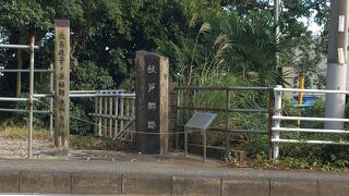 大河ドラマで出てくるかな