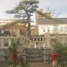 門松が艶やかだった2022年お正月の猪子石神社の様子