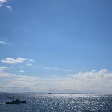 浦安市総合公園から眺める東京湾