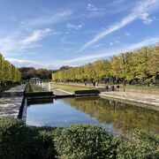 秋の国営昭和記念公園を散策