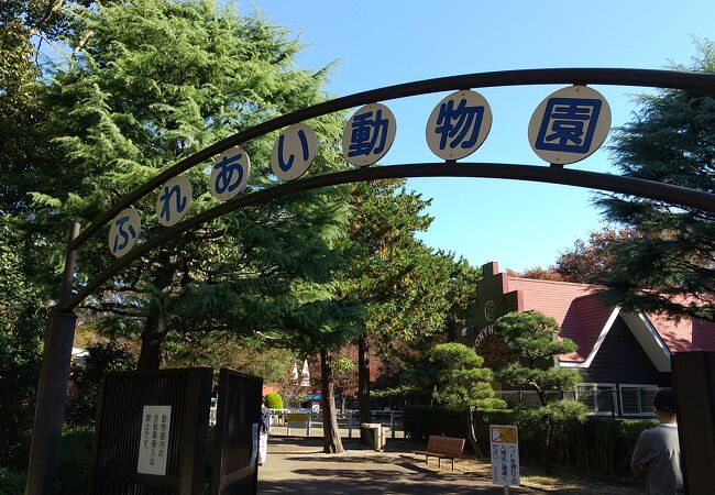 神奈川県の動物園 クチコミ人気ランキングtop17 フォートラベル