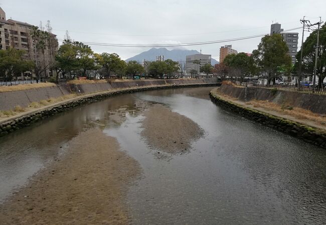 甲突川 クチコミ アクセス 営業時間 鹿児島市 フォートラベル 甲突川 クチコミ アクセス 営業時間 鹿児島市 フォートラベル