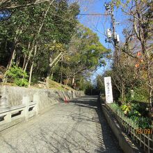 公園の緩やかな上り道