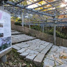 阿知の藤の庭園