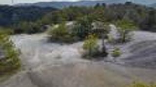 牛乗山の山頂に広がる