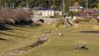 和泉川宮沢遊水池