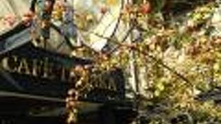 デザートも軽食も豊富な素敵なカフェ