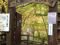 松川渓谷温泉滝の湯 写真