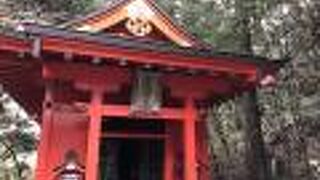 曽我兄弟の杉があります