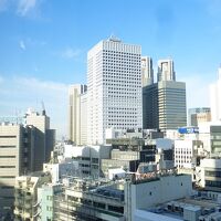 都庁の上部などが見られました