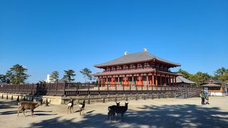 整備が続く見所多いお寺