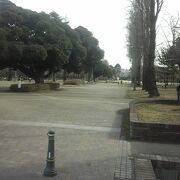 広大な公園