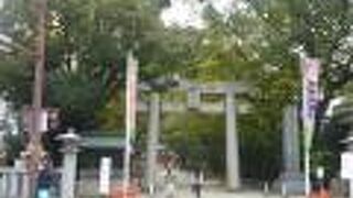 見どころがたくさんあります