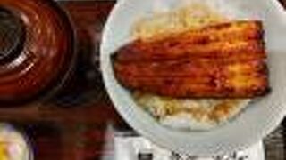 ランチ限定うな丼