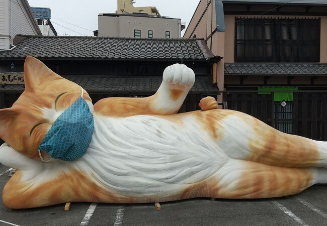 招き猫ミュージアム クチコミ アクセス 営業時間 瀬戸 フォートラベル