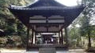 百人一首でお馴染みの「蝉丸」を祀った神社があったなんて…