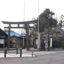 あまり目立たない。