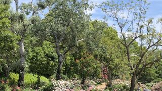 春は素敵でした。