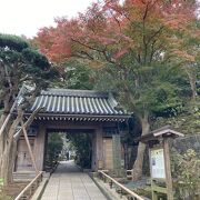 竹林のあるお寺