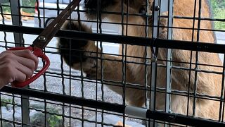 何度でも行きたい