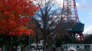 鮮やかな紅葉の真っ盛りで、テレビ塔とのコラボが最高