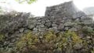 保存管理がいまいち