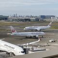 日本一活気のある空港で飛行機を鑑賞