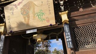 今年の寒さ、つぼみに感じます