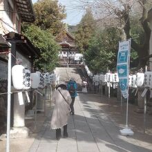 神社前に並ぶ提灯の列