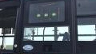 てっぺんバスがおすすめ