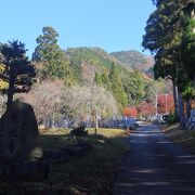 湖東三山や永源寺に隠れていますが紅葉の名所です