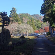 東光寺入口