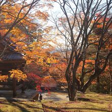 薬師堂からみた風景