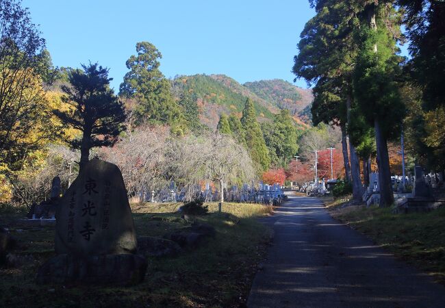 湖東三山や永源寺に隠れていますが紅葉の名所です