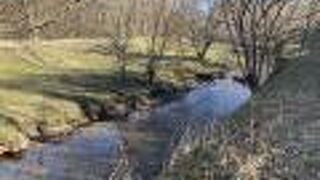 都心からの近さと、自然の豊かさのバランスが素晴らしい！