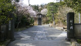 女人救済の寺院