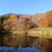 紅葉がすばらしかったです