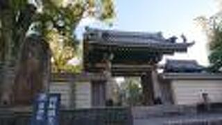 冬枯れした木に、趣を感じました