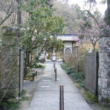 明月院 (あじさい寺)