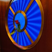 エレベーター内　　天井も高い