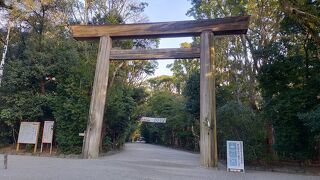 参道の緑が気持ちいい