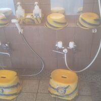 タイガースの桶