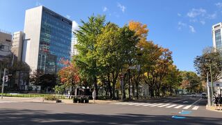 植物が美しい！